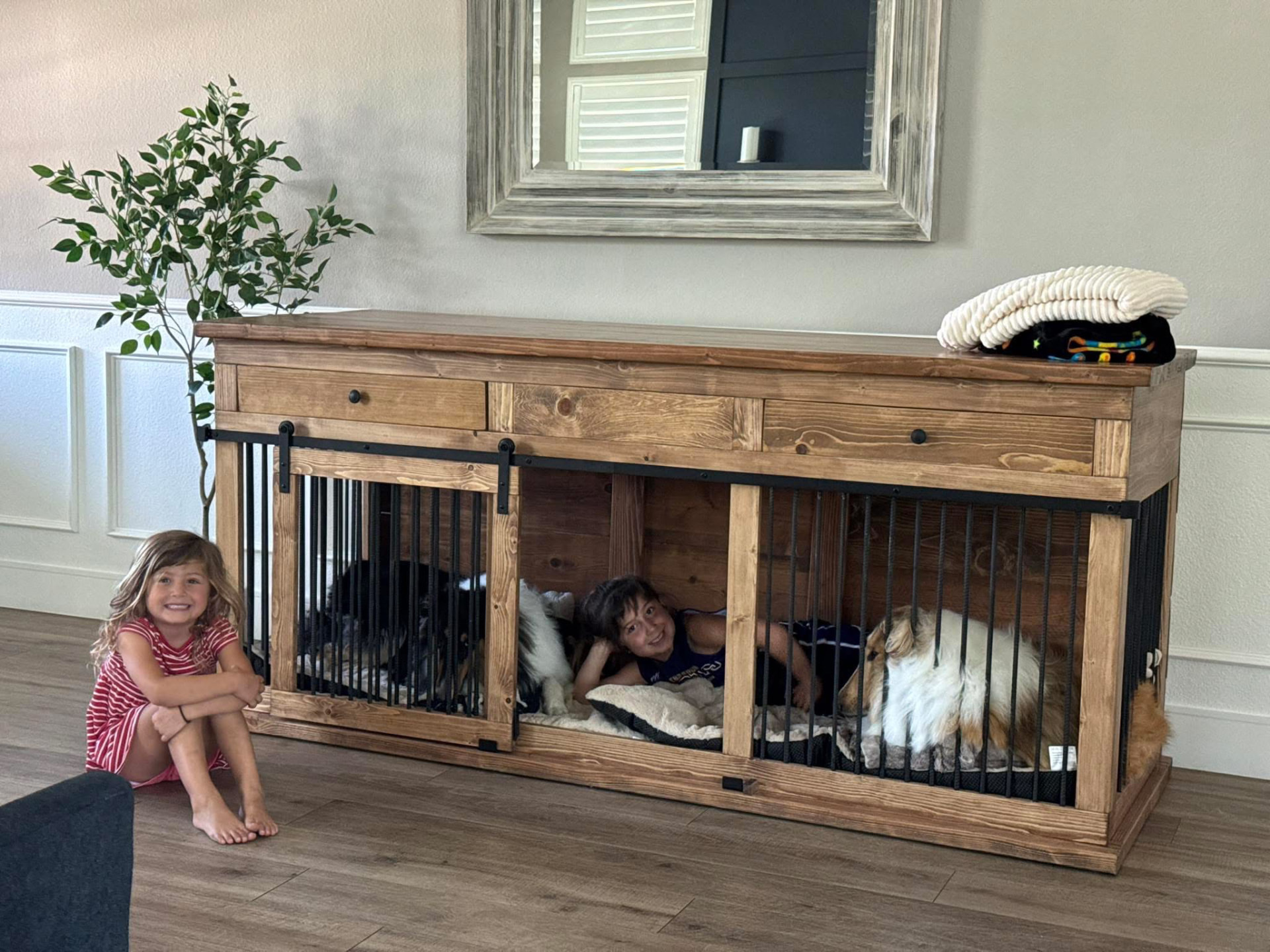 Custom Dog Crate